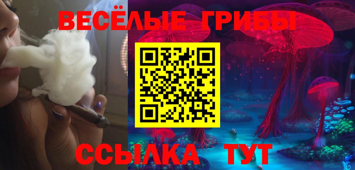 Осинники  Псилоцибиновые грибы Psilocybe  Вход с VPN  Галлюциногенные грибы мицелий 